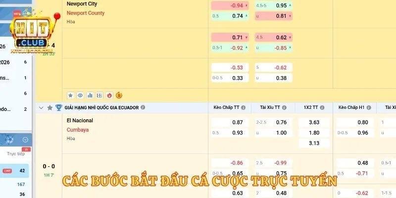 Các bước bắt đầu cá cược trực tuyến 