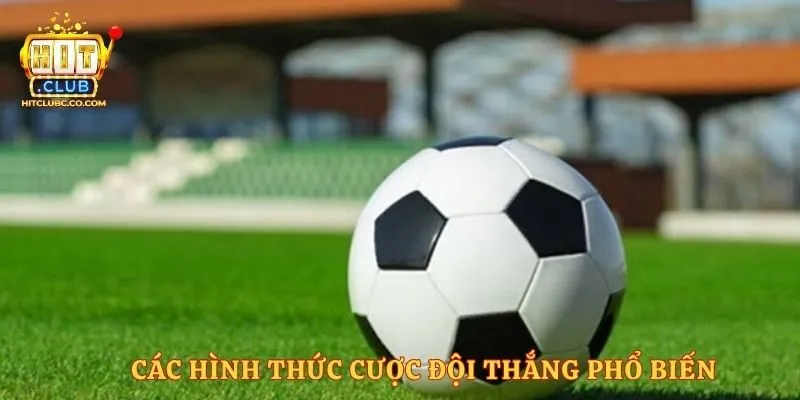 Các hình thức cược đội thắng phổ biến
