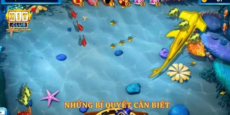 Những bí quyết cần biết